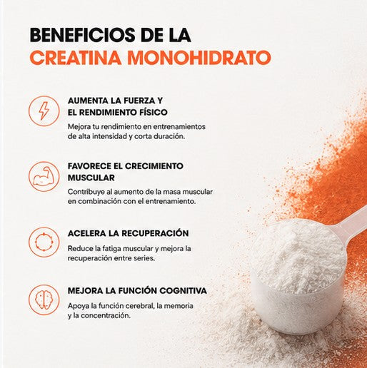 beneficios de la creatina monohidrato